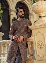 Brown and antique mixture Sherwani